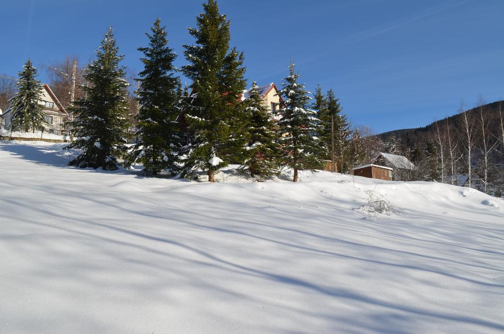 Dom Na Mosornym Groniu Vila Zawoja Exterior foto