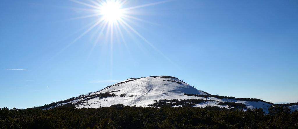 Dom Na Mosornym Groniu Vila Zawoja Exterior foto